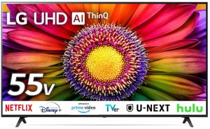 人気の液晶テレビ５機種比較【55インチ】