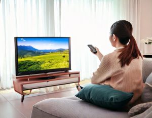 TVの地上波とネットの動画、どっちが良いのか比較