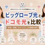 ビッグローブ光とドコモ光を比較